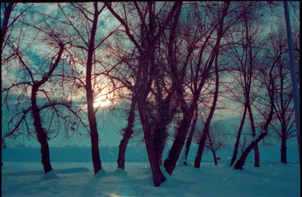 Sun coming out from behind clouds above bare trees and a snowy landscape