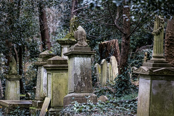 Image of a somewhat dilapidated and overgrown graveyard